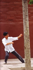 Tai Chi